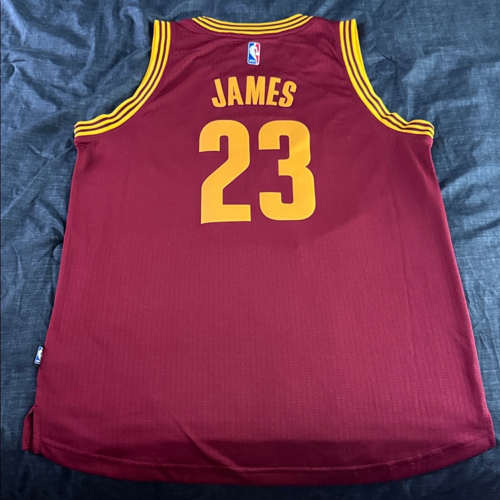Cleveland Cavaliers #23 LeBron James 2015 NBA Home Adidas Swingman Jersey